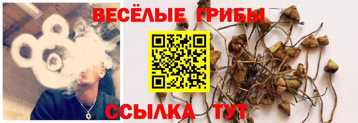 Галлюциногенные грибы ЛСД Апрелевка