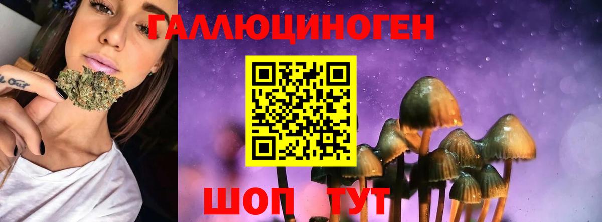 Апрелевка  Псилоцибиновые грибы Magic Shrooms  Вход с VPN 